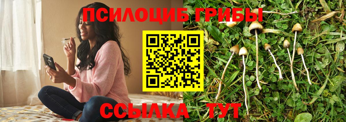 Урюпинск  Псилоцибиновые грибы Cubensis  Галлюциногенные грибы Psilocybe  Вход с VPN 