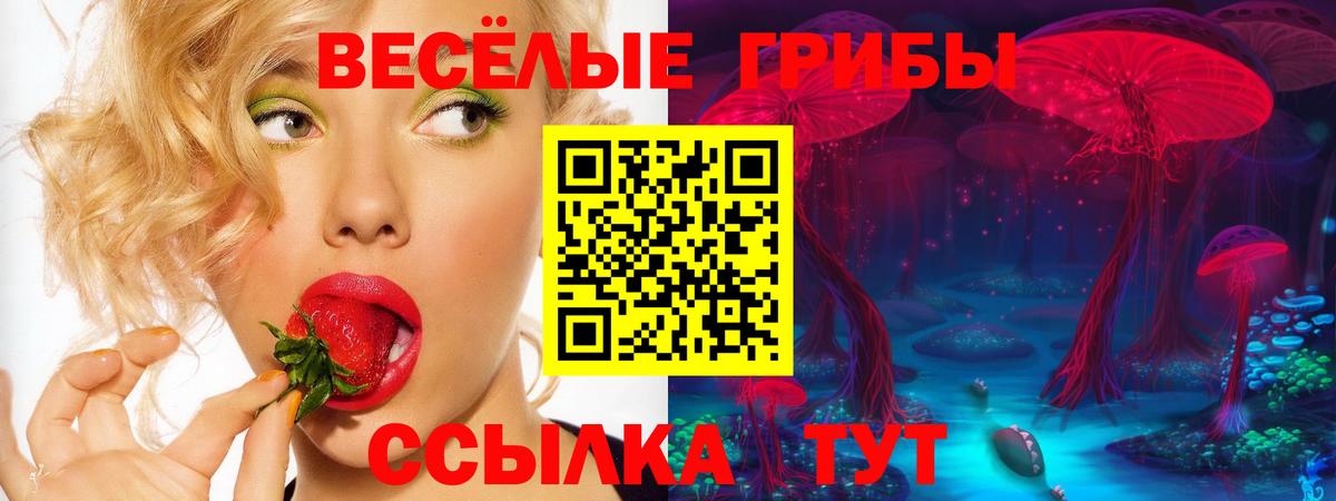 Галлюциногенные грибы мицелий Урюпинск