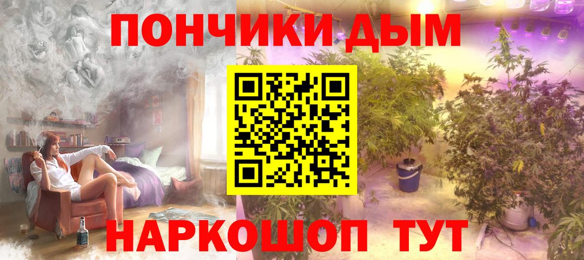 Каннабис Bruce Banner  Вход с VPN  Каннабис семена  Каннабис THC 21%  Урюпинск 